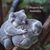 Joyce Ellen Valickas's profile image