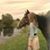 Aubrey Balzer's profile image