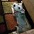 Shelby Hammond Smith's profile image