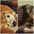 Marianne Gabriel Harman's profile image