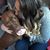 Brook Juhola's profile image
