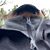 Matt Jalfrezi's profile image