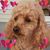 Ronald Heinefield's profile image