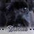 Emily Evans Howell's profile image