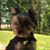 Melanie Ann Essary's profile image