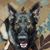 Shawn Christensen's profile image