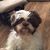 Connie Banister's profile image