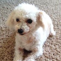 Janicec Collins's profile image