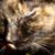 Marley Quinn's profile image