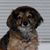 Judy Broderick's profile image