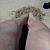 Anna Martinez's profile image