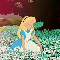 Chelsea Evans's profile image