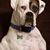 Douglas Ricker's profile image