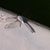 Kathy Blakley's profile image