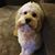 Tina Mirelle Campbell Heaton's profile image