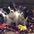 Pam Mathis Johnson's profile image