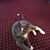 Amy L Panetta's profile image
