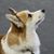 Kim Magee Bevelhymer's profile image