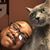 Kevin Zollicoffer's profile image