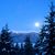 Kathy Mignon Reihsen-Medlar's profile image