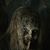 Stephanie Hutcherson's profile image