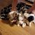 Glenna M Russo's profile image