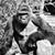 Brian Hartigan's profile image