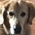 Karen Makarits's profile image