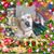 Kenneth Monroe's profile image