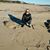 Suellen Crossley's profile image