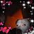 Kim McPhail's profile image