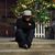 Rayne B. Vang's profile image