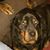 Kelley Koeppel Lane's profile image