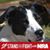 Beth Buchanan's profile image