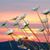 Kathy Christal Burkett's profile image
