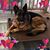 Laura Carder's profile image