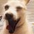 Arcy Astorga's profile image