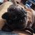 Lori Wooten's profile image