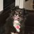 Lori Pressendo Reyes's profile image