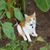 Donna Pryor's profile image