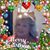 Joan Houchins's profile image