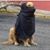 Sebastian Seron's profile image