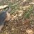 Margaret Ann Buchner's profile image