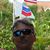 Mike Barrile's profile image
