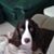 Dave Wellington's profile image