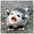 Cheryl Carothers's profile image