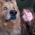 Jennee Foley's profile image