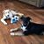 Beverly Catsoulis Cupp's profile image