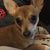 Julie E Weston's profile image