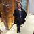 Suzanne Yacker-Garofalo's profile image